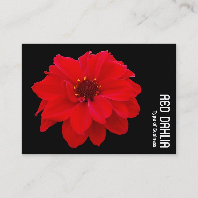 Red Dahlia - Black Visitkort (Framsida)