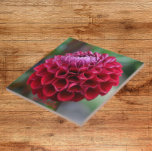 Red Dahlia Bloom Blommigt Ceramic Tile Kakelplatta<br><div class="desc">Keramisk platta med fotobilden av en röd Dahlia-blomma. En underbar,  blommigt design! Markera din ruta storlek. Gör en underbar kökstrivet!</div>