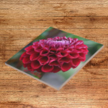 Red Dahlia Bloom Blommigt Ceramic Tile