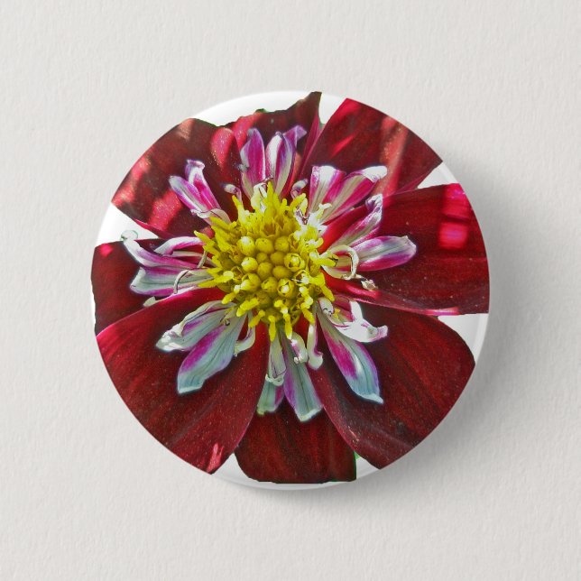 Red Dahlia Button Knapp (Framsida)
