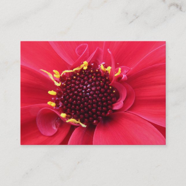 Red Dahlia Close-up Visitkort (Framsida)