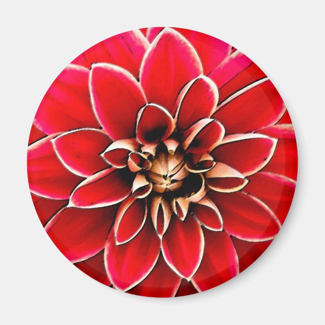 Red Dahlia, digital konst Magnet (Framsidan)