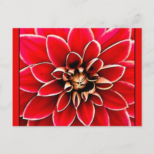 Red Dahlia, digital konst Vykort (Framsida)