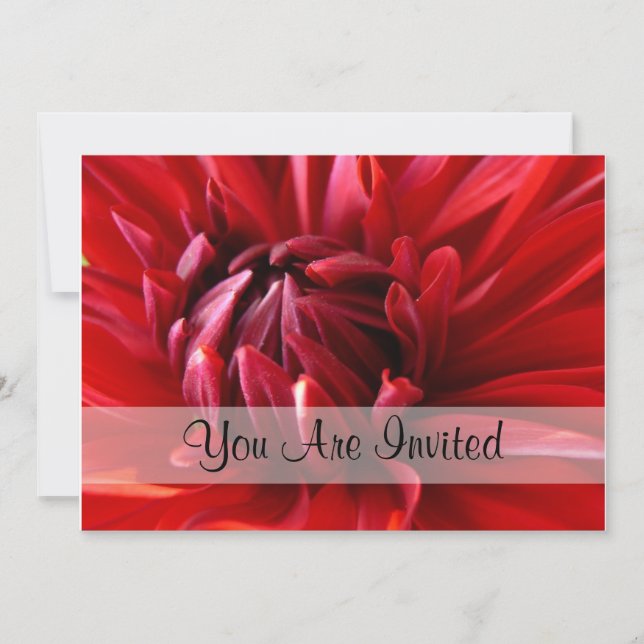 Red Dahlia du är inbjuden Inbjudningar (Framsida)