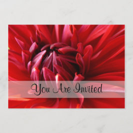 Red Dahlia du är inbjuden Inbjudningar