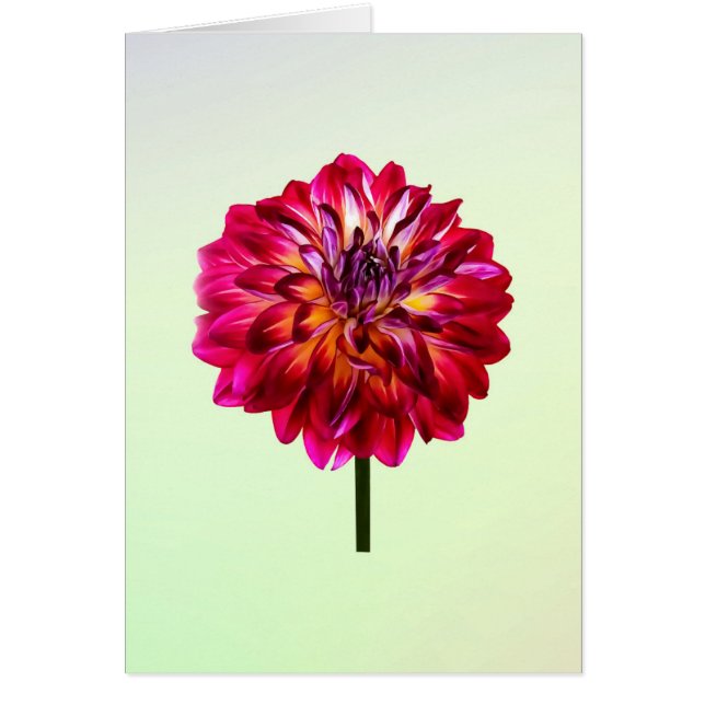Red Dahlia färgad med Gult Hälsningskort (Framsidan)