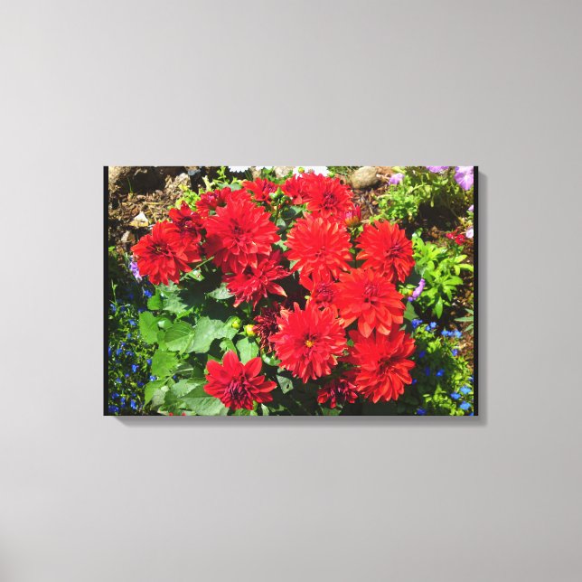 Red Dahlia Flower Canvas (Framsida)