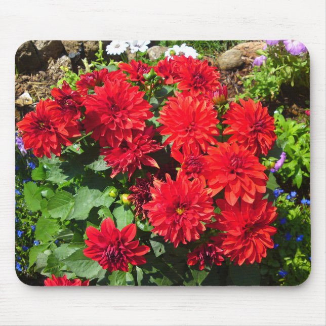 Red Dahlia Flower Mousepad Musmatta (Framsidan)