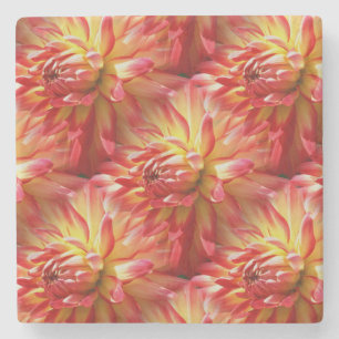 Red Dahlia Flower Nature Art Mönster Underlägg Sten