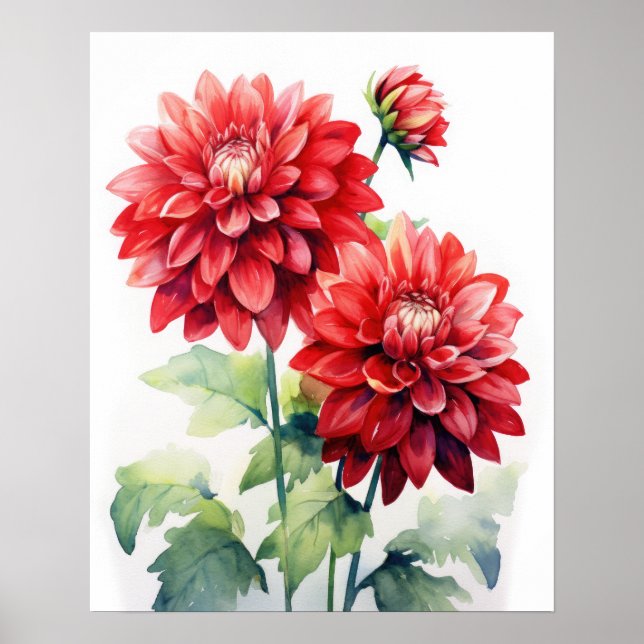 Red Dahlia Flowers Art Print Poster (Framsidan)