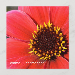 Red Dahlia Inbjudningar