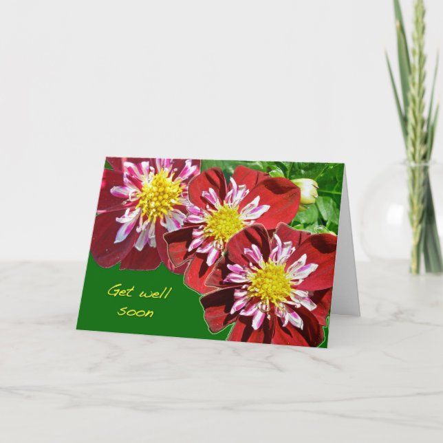 Red Dahlia kommer väl snart kort (Framsida)
