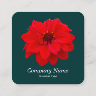 Red Dahlia - Mörk grönt Fyrkantigt Visitkort