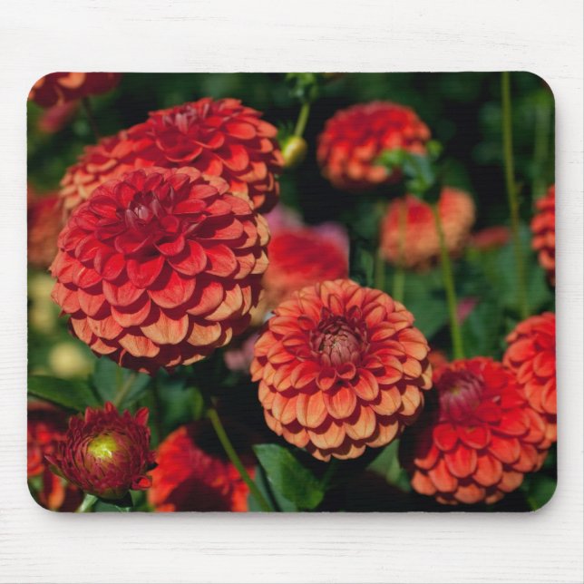 Red Dahlia Mouse Pad Musmatta (Framsidan)