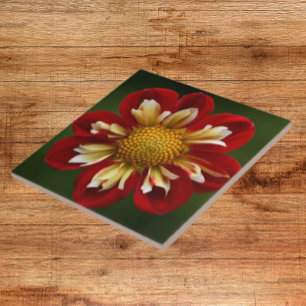 Red Dahlia på Gröntens Blommigt Kakelplatta