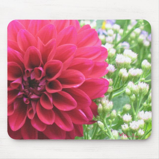 Red Dahlia Photo Mousepads Musmatta (Framsidan)