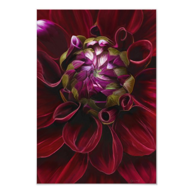Red Dahlia Photo Print Fototryck (Framsidan)