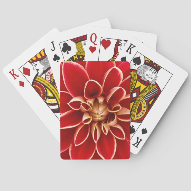 Red Dahlia Spel Kort (Baksidan)