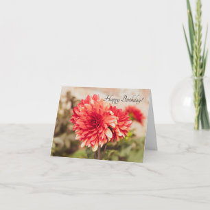 Red Dahlias Birthday Card Kort