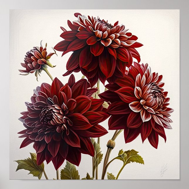 Red Dahlias Flower Art Print Poster (Framsidan)