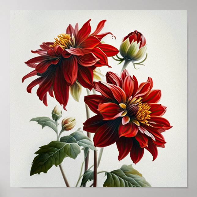 Red Dahlias Flower Art Print Poster (Framsidan)