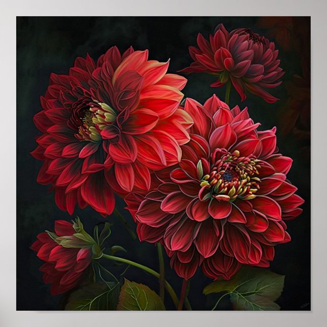 Red Dahlias Flower Art Print Poster (Framsidan)