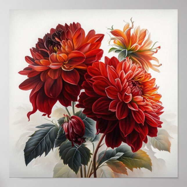Red Dahlias Flower Art Print Poster (Framsidan)