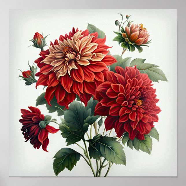 Red Dahlias Flower Art Print Poster (Framsidan)