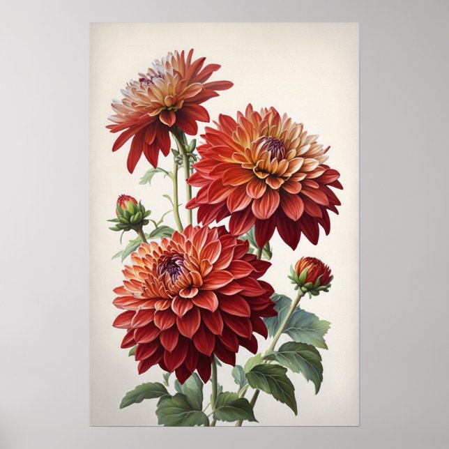Red Dahlias Flowers Art Print Poster (Framsidan)