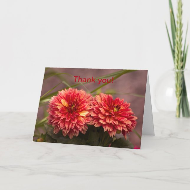 Red Dahlias Tack Kort (Framsida)