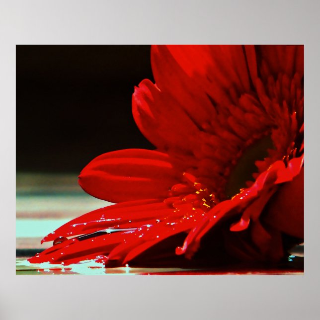 Red Daisy Gerbera Flower Poster (Framsidan)