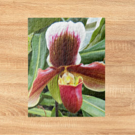 Red Dam Slipper Orchid Blommigt Pussel