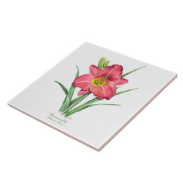 Red Daylily Botanical Art Stil Kakelplatta