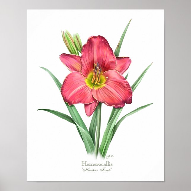 Red Daylily Original Art Print Poster (Framsidan)