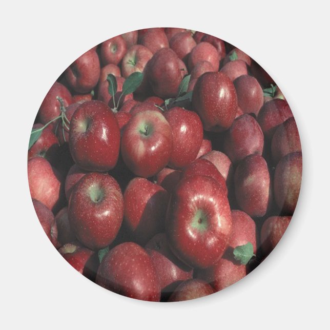 Red Delicious Apple Skörd Magnet (Framsidan)