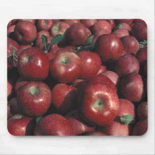 Red Delicious Apple Skörd Musmatta
