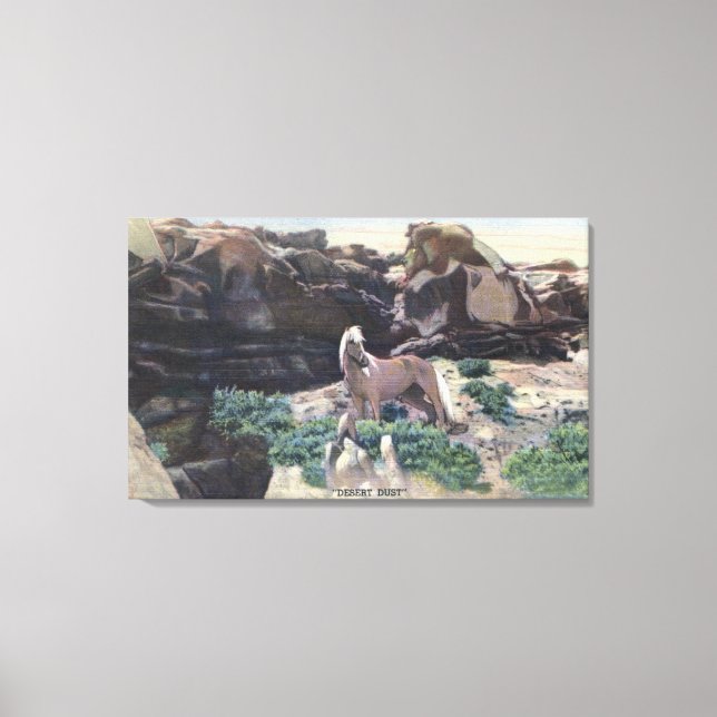 Red Desert, WY - Vild Palomino Stallion fångad Canvastryck (Framsida)