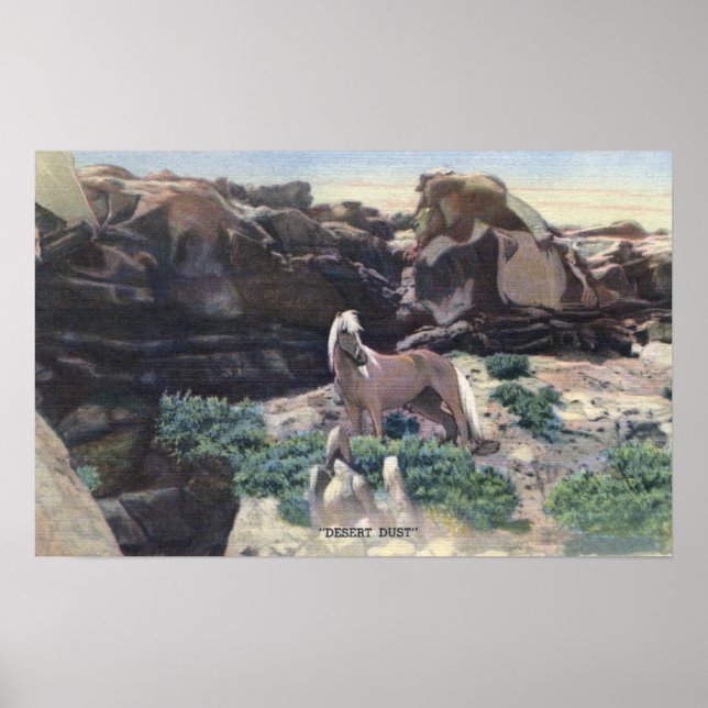 Red Desert, WY - Vild Palomino Stallion fångad Poster (Framsidan)
