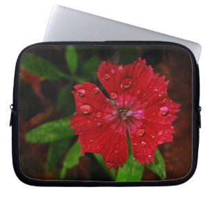 Red Dianthus with Raindrops Laptop Sleeve