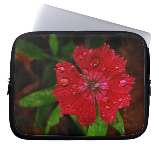Red Dianthus with Raindrops Laptop Sleeve (Framsidan)