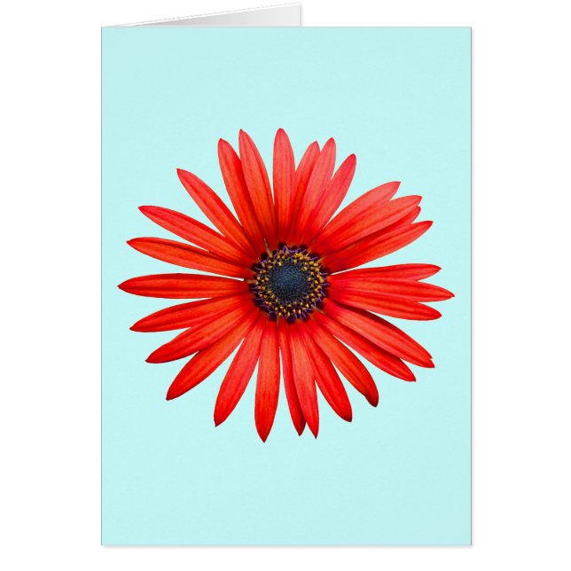 Red Djävulen Hälsningskort (Framsidan)