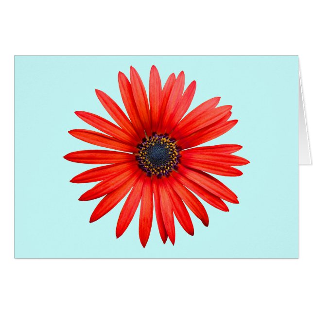 Red Djävulen Hälsningskort (Framsidan Horizontal)