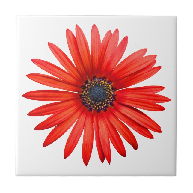 Red Djävulen Kakelplatta (Framsidan)