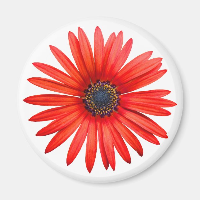 Red Djävulen Magnet (Framsidan)