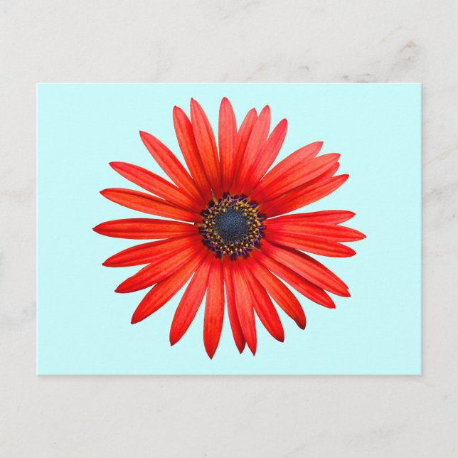 Red Djävulen Vykort (Framsida)