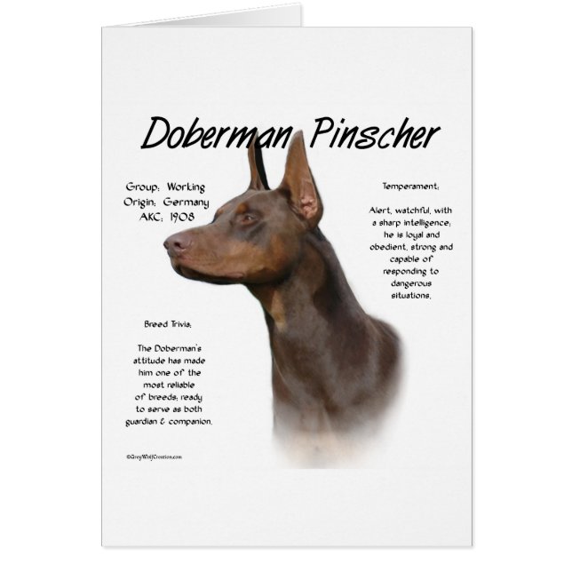 Red Doberman History Hälsningskort (Framsidan)