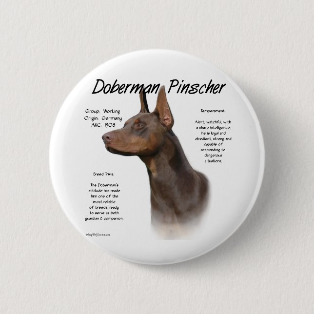 Red Doberman History Knapp (Framsida)
