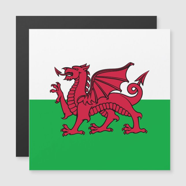 Red Dragon Celtic Flagga of Wales & Welsh (Fram/baksida)