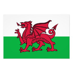 Red Dragon Celtic Flagga of Wales & Welsh Fototryck