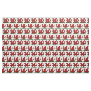 Red Dragon of Wales Tyg